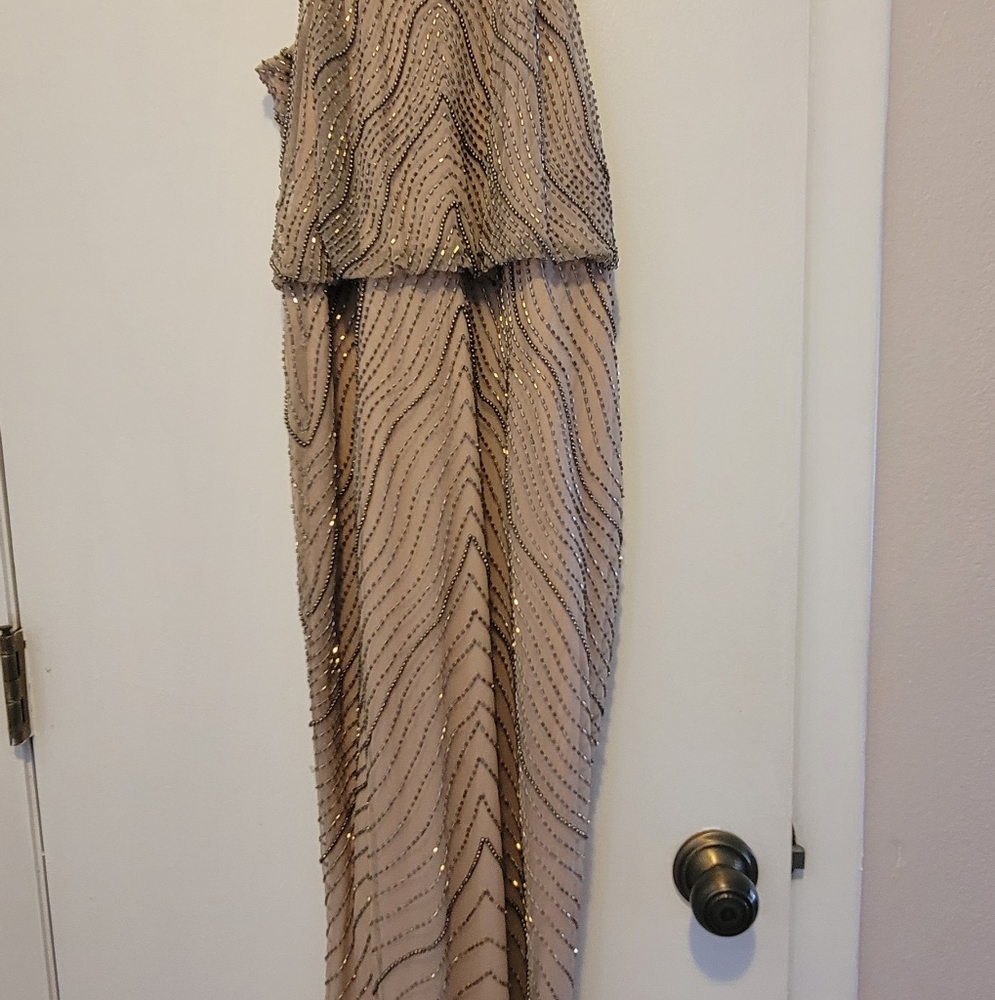 Adrianna Papell Evening Gown